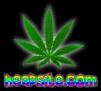 RASTA